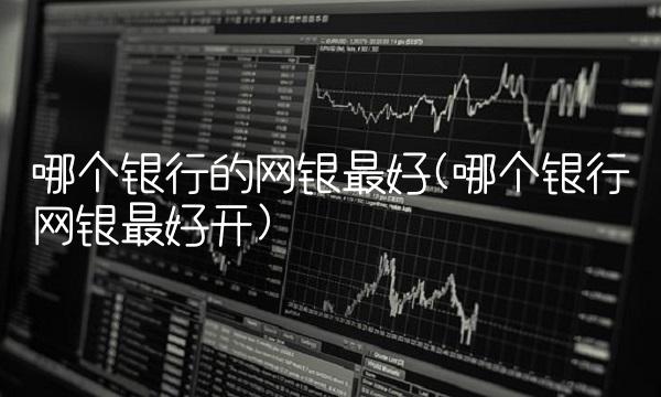 哪个银行的网银**(哪个银行网银**开)