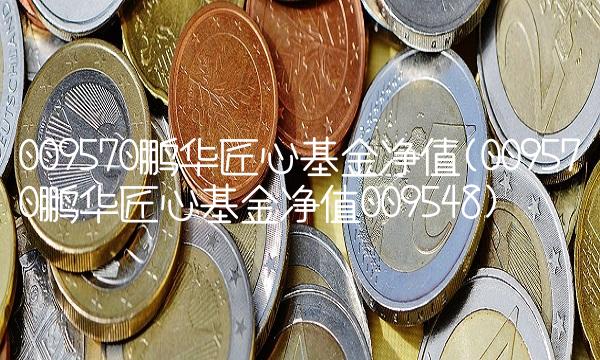 009570鹏华匠心基金净值(009570鹏华匠心基金净值009548)