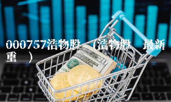 000757浩物股份(浩物股份**重组)