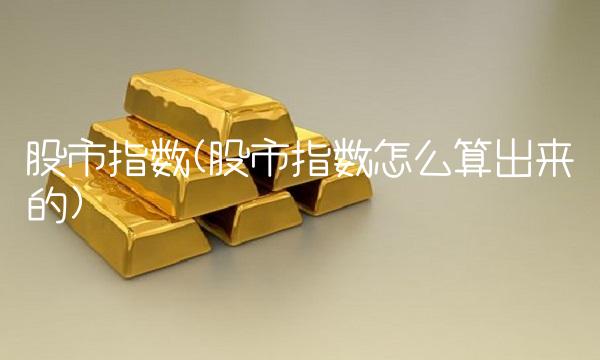 股市指数(股市指数怎么算出来的)