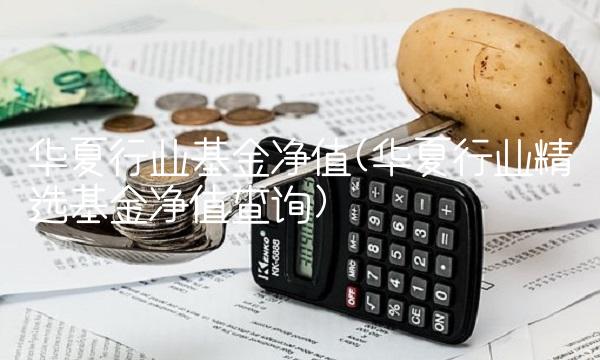 华夏行业基金净值(华夏行业精选基金净值查询)