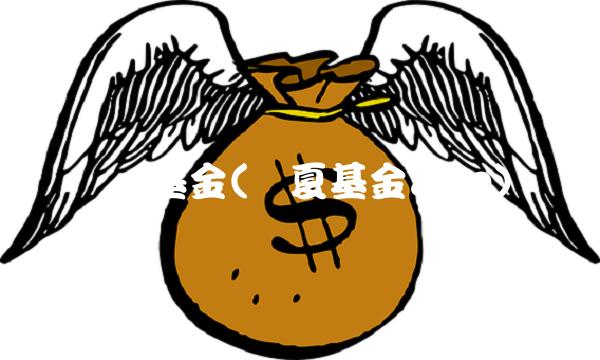 华厦基金(华夏基金app)