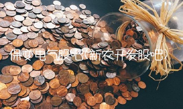 保变电气股吧(新农开发股吧)
