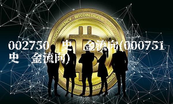 002750历史资金流向(000751历史资金流向)