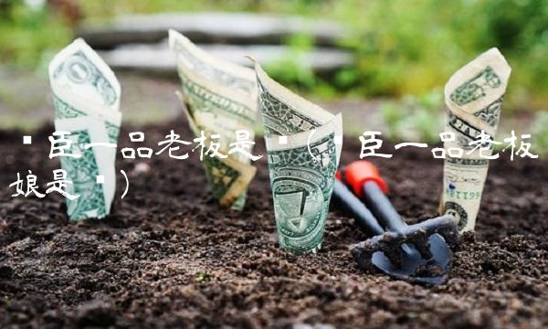 汤臣一品老板是谁(汤臣一品老板娘是谁)