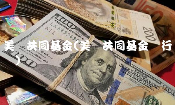 美国共同基金(美国共同基金发行数据)