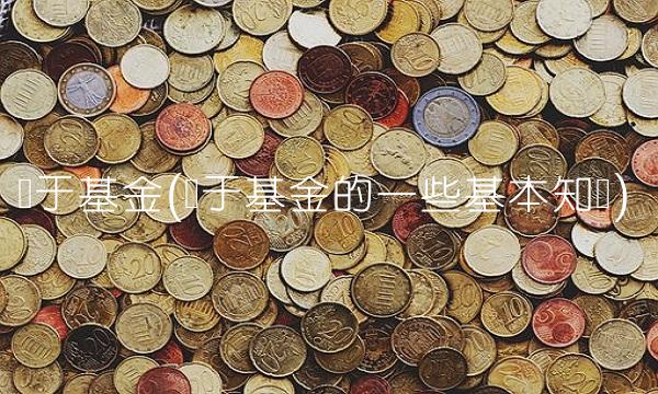 关于基金(关于基金的一些基本知识)