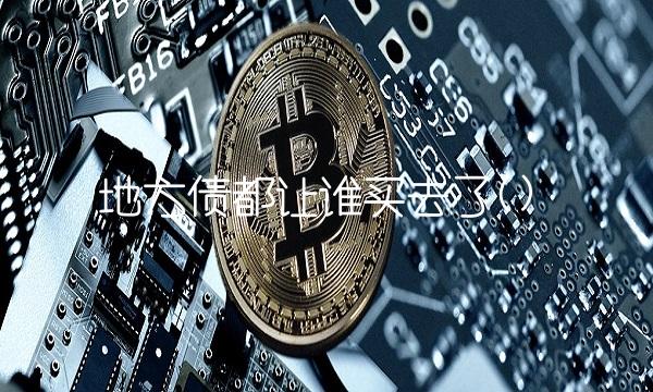 地方债都让谁买去了()