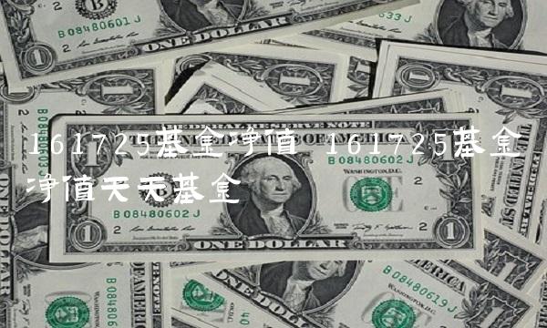 161725基金净值 161725基金净值天天基金