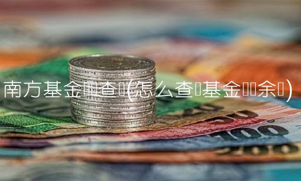 南方基金账户查询(怎么查询基金账户余额)