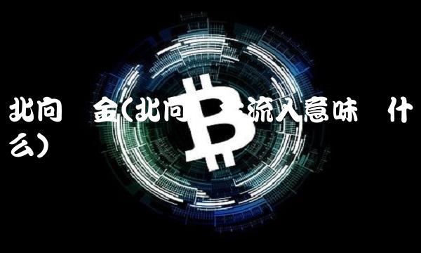 北向资金(北向资金流入意味着什么)