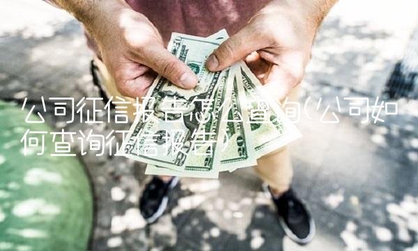 公司征信报告怎么查询(公司如何查询征信报告)