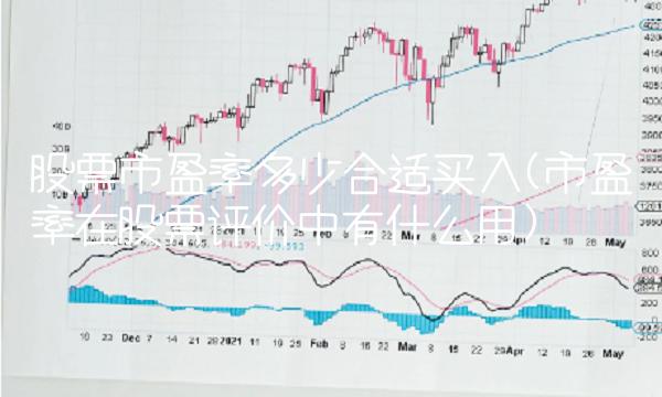 股票市盈率多少合适买入(市盈率在股票评价中有什么用)