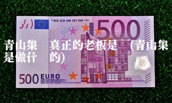 青山集团真正的老板是谁(青山集团是做什么的)