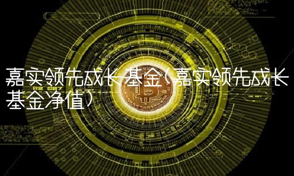 嘉实**成长基金(嘉实**成长基金净值)