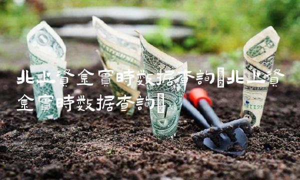 北上资金实时数据查询(北上资金实时数据查询)