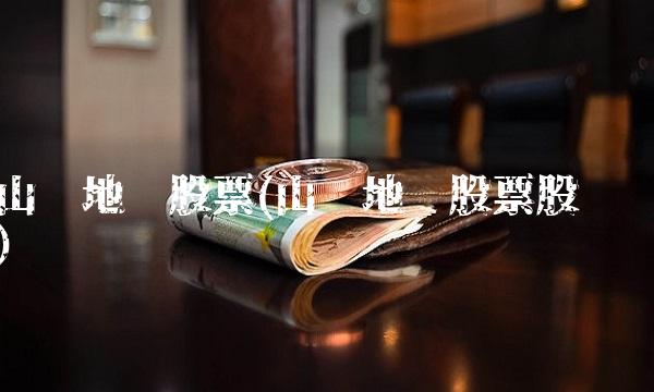 山东地矿股票(山东地矿股票股吧)