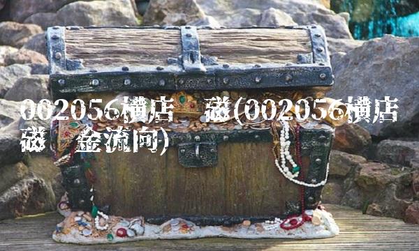 002056横店东磁(002056横店东磁资金流向) 002056横店东磁(002056横店东磁资金流向)