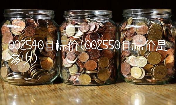 002540目标价(002550目标价是多少)
