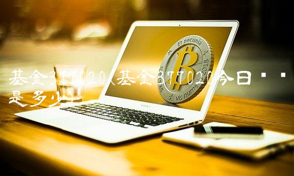 基金377020(基金377020今日净值是多少) 基金377020(基金377020今日净值是多少)