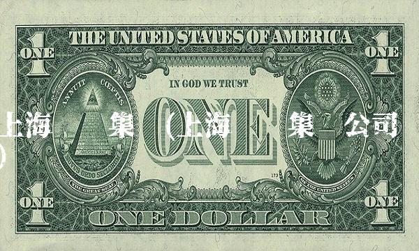 上海华谊集团(上海华谊集团公司)