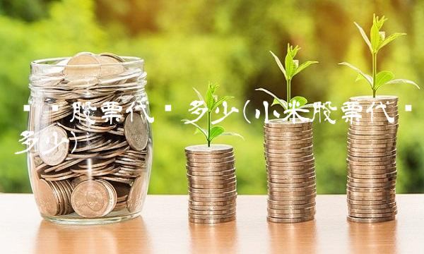 华为股票代码多少(小米股票代码多少)