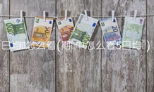 日均线怎么看(期货中怎么看5日均线)