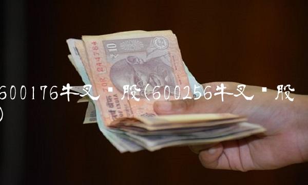 600176牛叉诊股(600256牛叉诊股)
