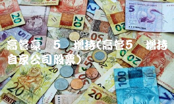 高管豪掷5亿增持(高管5亿增持自家公司股票)