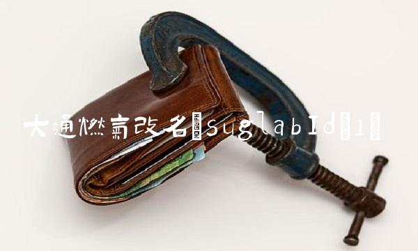 大通燃气改名(suglabId_1)