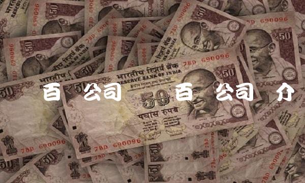 华录百纳公司 华录百纳公司简介 华录百纳公司 华录百纳公司简介