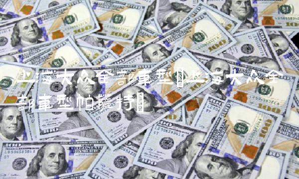 上海大众**车型(上海大众**车型帕萨特)