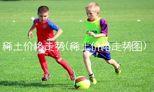 稀土价格走势(稀土价格走势图)