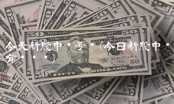 今天新股申购号码(今日新股申购有风险吗)