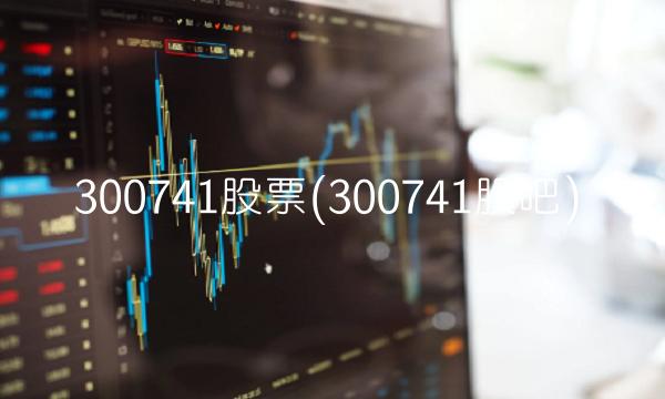 300741股票(300741股吧)
