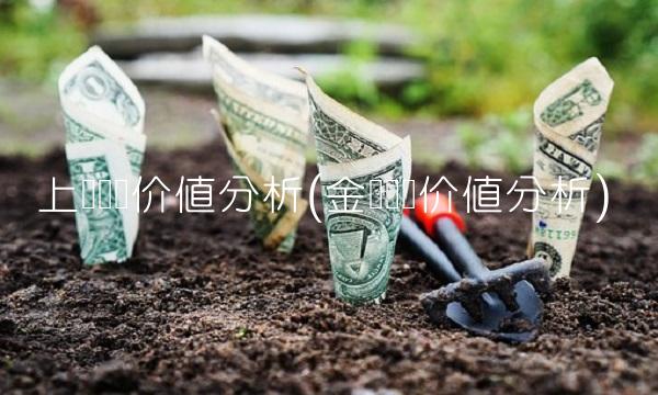 上银发债价值分析(金盘发债价值分析)