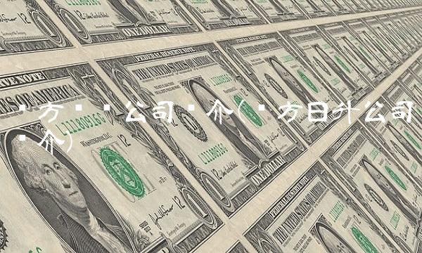 东方电热公司简介(东方日升公司简介)
