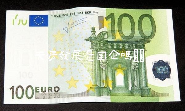 天房发展是国企吗()