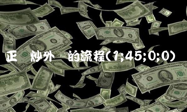 正规炒外汇的流程(1;45;0;0)