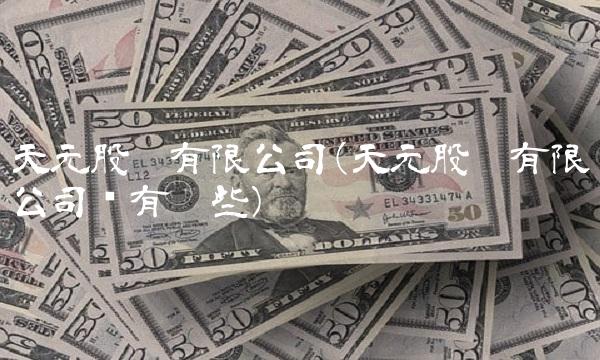 天元股份有限公司(天元股份有限公司还有哪些)