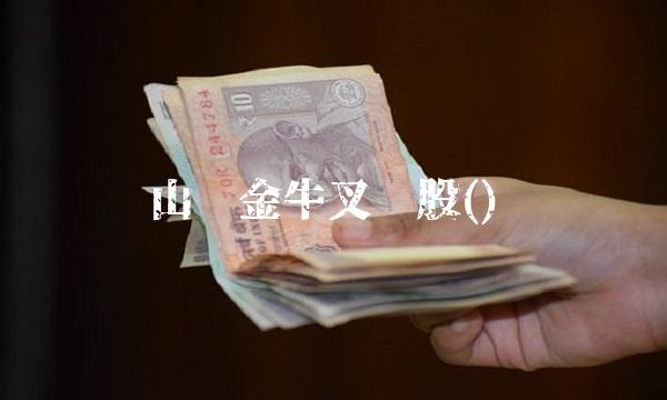 山东金牛叉诊股()