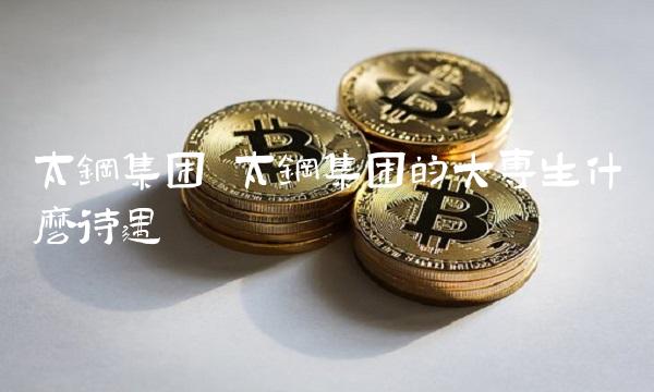太钢集团 太钢集团的大专生什么待遇