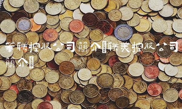 华联控股公司简介(联美控股公司简介)