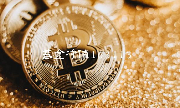 基金净值163113