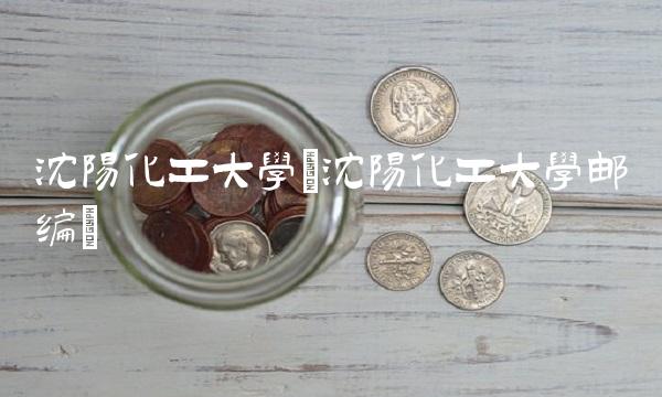 沈阳化工大学(沈阳化工大学邮编)