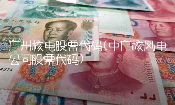 广州核电股票代码(中广核风电公司股票代码)