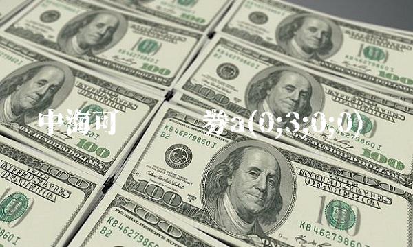 中海可转债债券a(0;3;0;0)