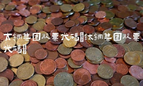 太钢集团股票代码(钛钢集团股票代码)