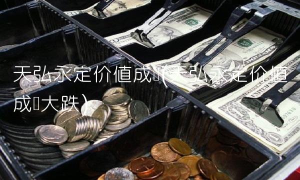 天弘永定价值成长(天弘永定价值成长大跌) 天弘永定价值成长(天弘永定价值成长大跌)