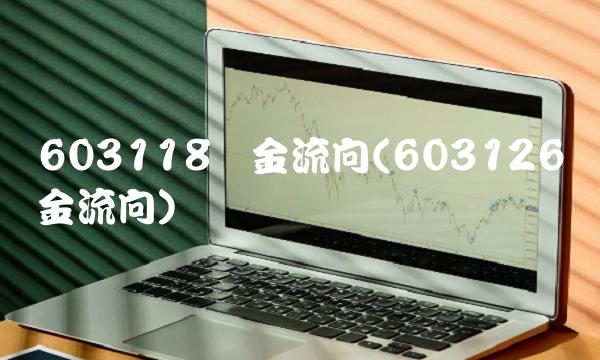 603118资金流向(603126资金流向)